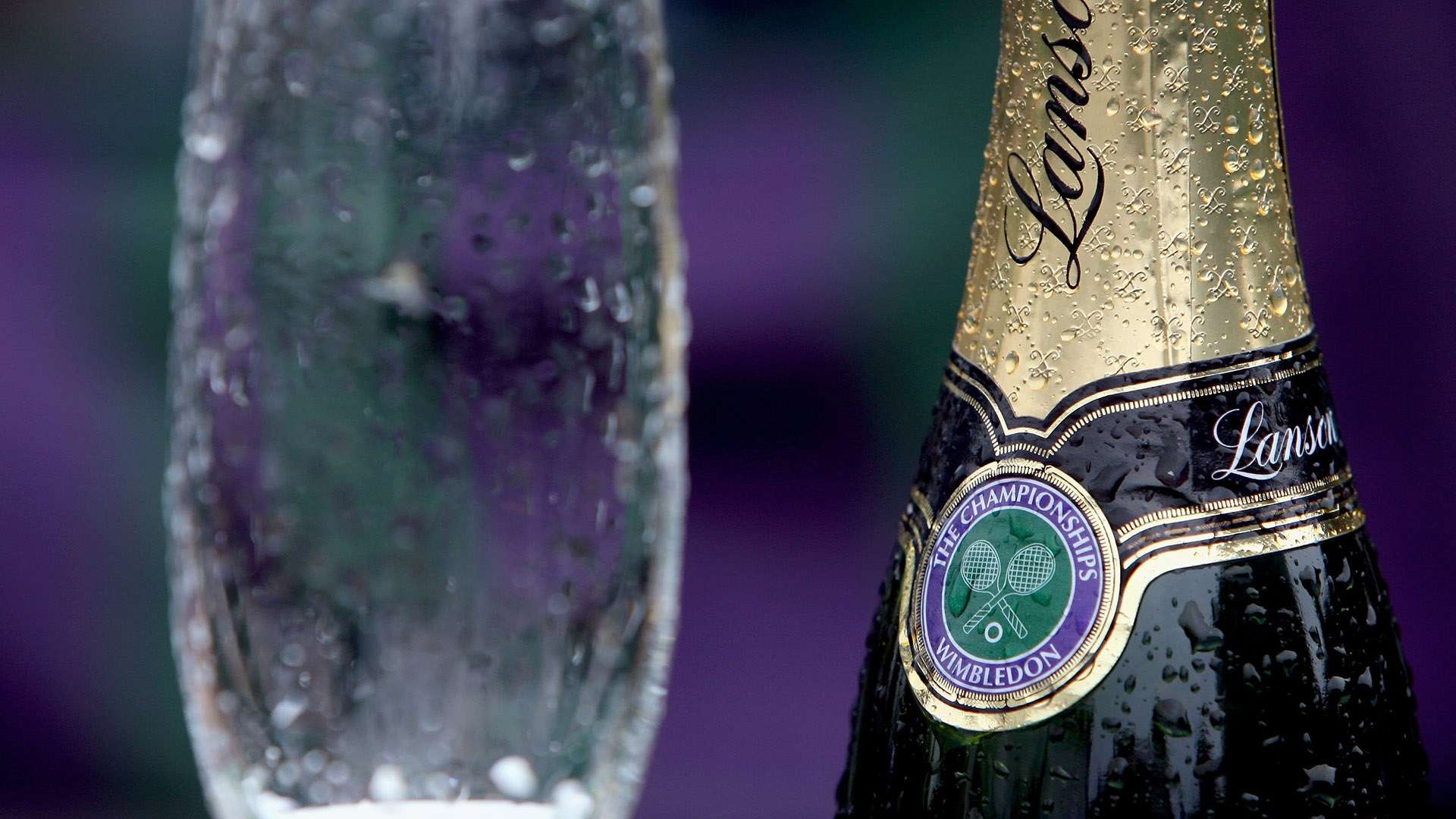 篮球基因进 篮球基因进