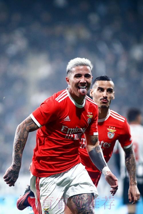 葡媒:皇马愿付恩佐1.2亿欧解约金 本菲卡已收到4份报价